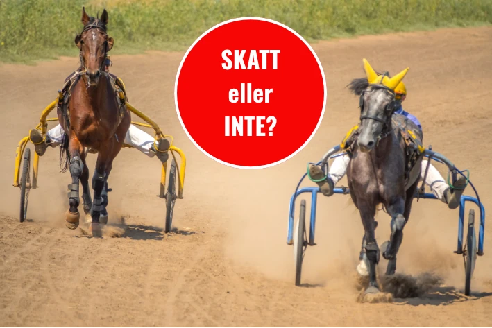 två travhästar på väg mot vinst